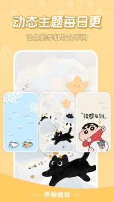西柚壁纸app下载安装最新版