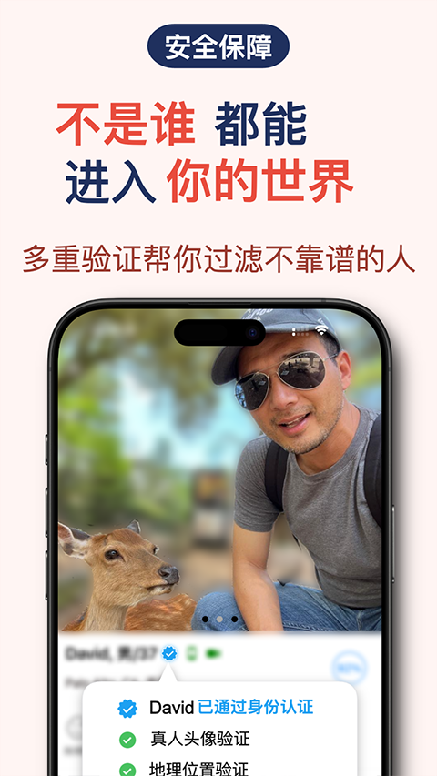 红叶故事下载