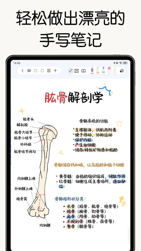 自由笔记app下载