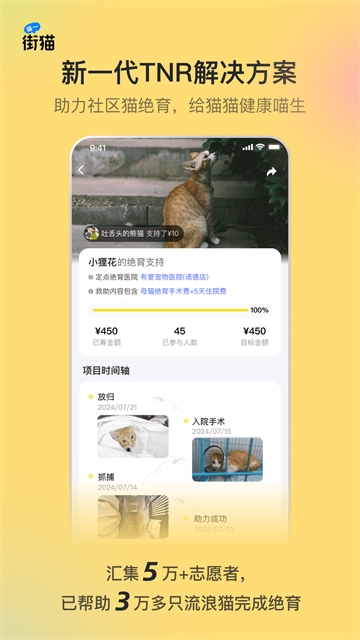 哈啰街猫app最新版下载