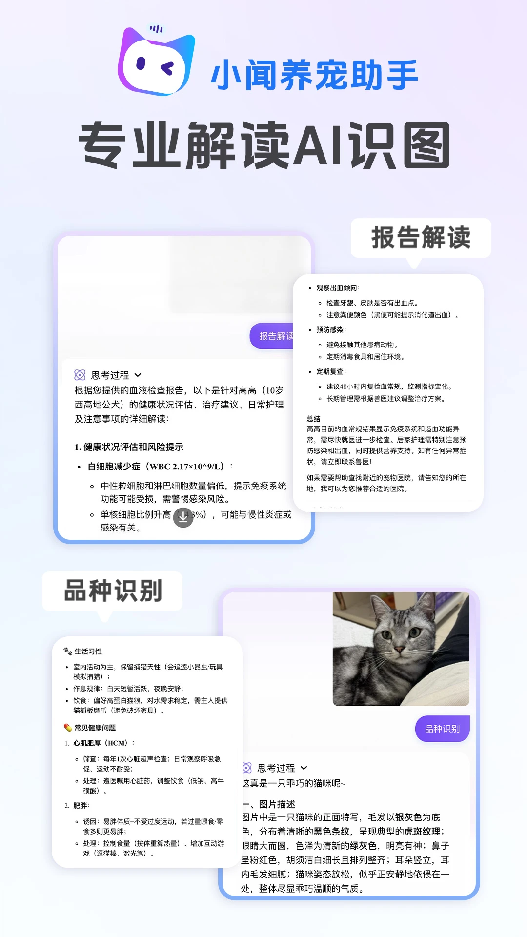 1788919424339965.png (new)96ea174f-597a-449a-a08d-02320e5282a7.png