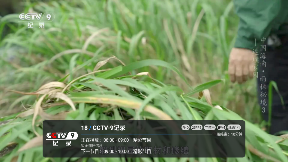 小草飘香香TV电视版下载
