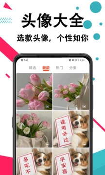 好看手机壁纸下载免费