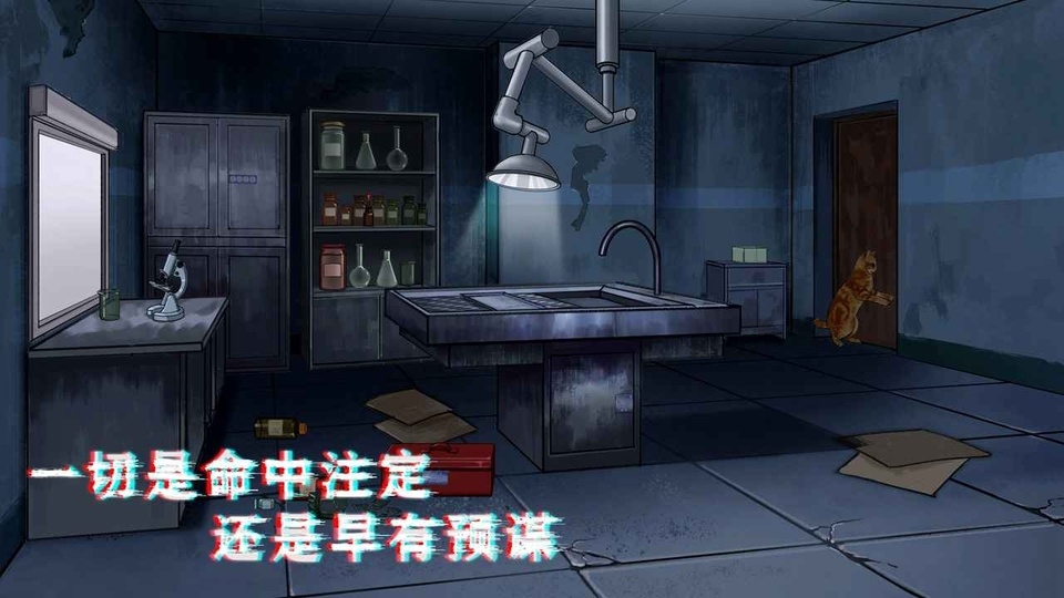 密室与猫下载最新版