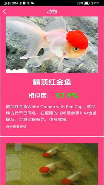 拍照识花神器app下载