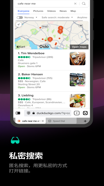vivaldi浏览器APP