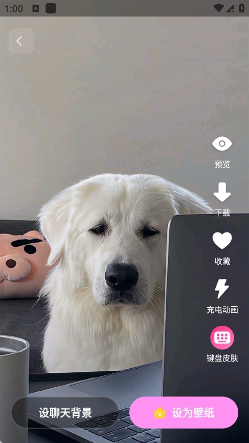 辰光壁纸下载app