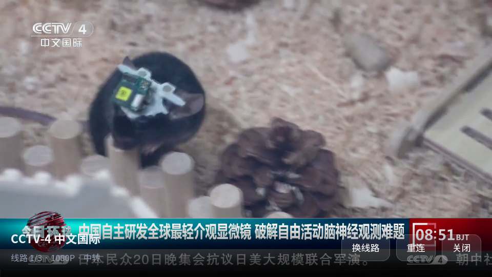 三金TV电视直播下载