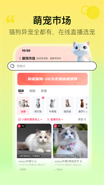 宠胖胖app正版