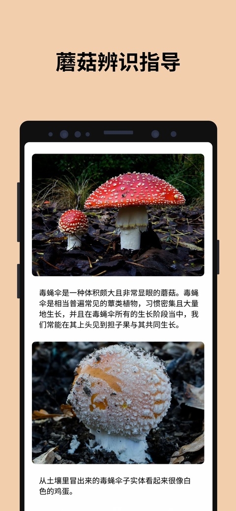 蘑菇识别扫一扫下载最新版