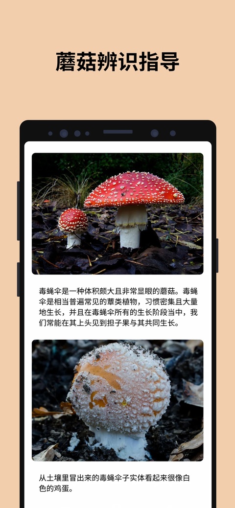 1793158336823558.jpg f6ad7f579907e4f910675e77d7c2eccc.jpg