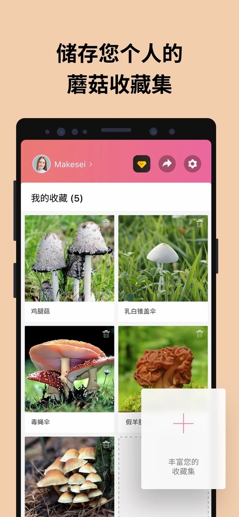 蘑菇识别扫一扫下载最新版