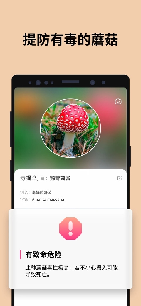 蘑菇识别扫一扫下载最新版