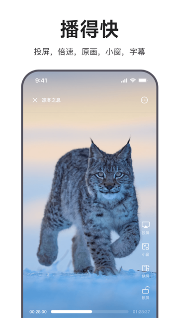 迅雷浏览器app官方版